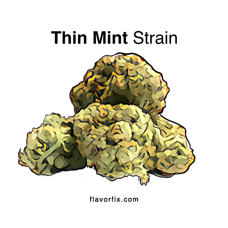 Thin Mint Strain