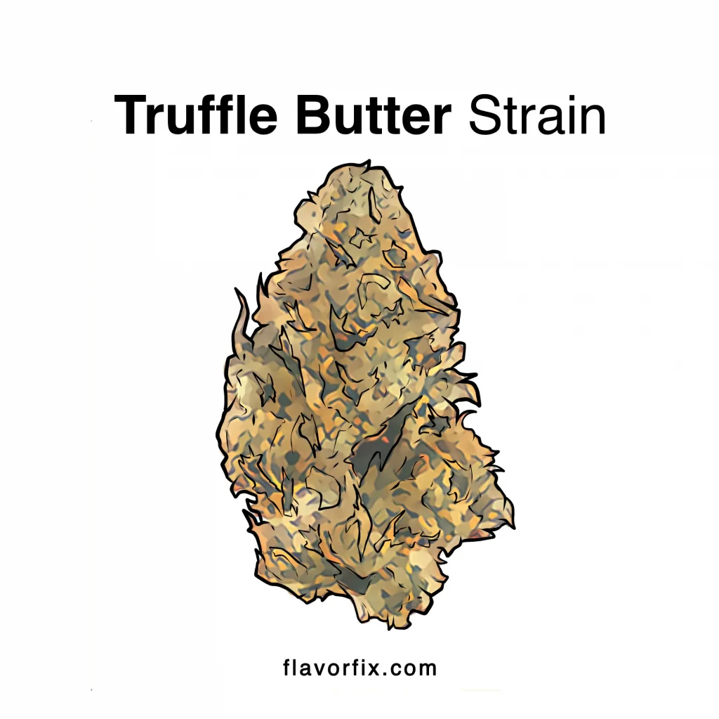 Truffle Butter Strain | Cannabis Strains Info | Flavor Fix