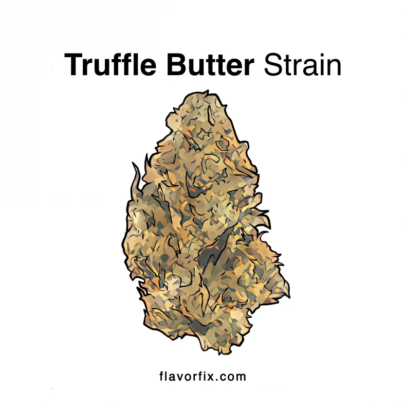 truffle butter strain
