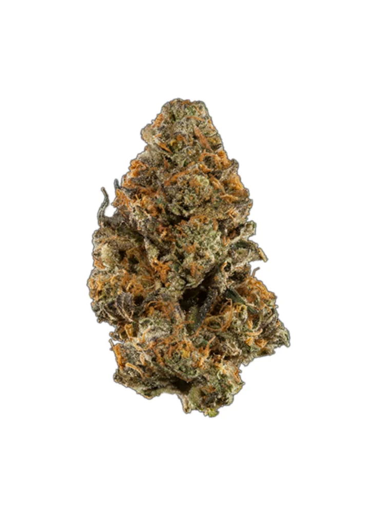 Truffle Butter Strain Cannabis Strains Info Flavor Fix