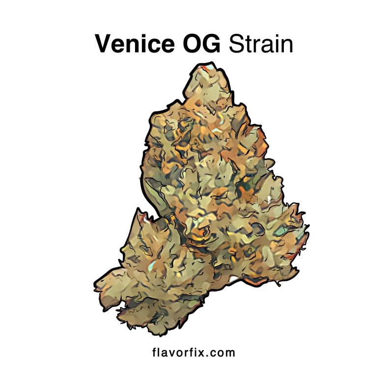 Venice OG Strain