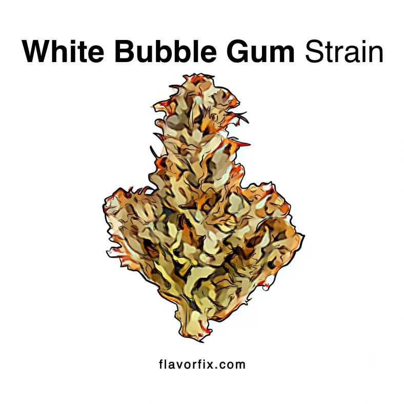 White Bubblegum Strain