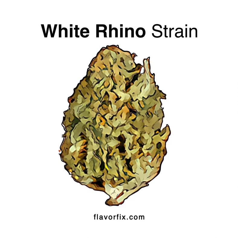 white rhino strain