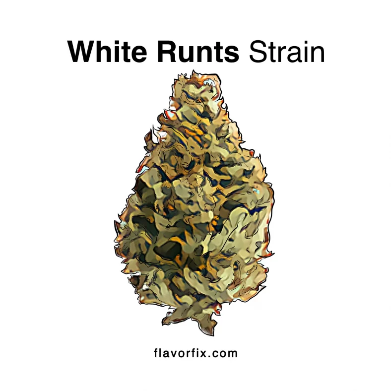 White Runts Strain
