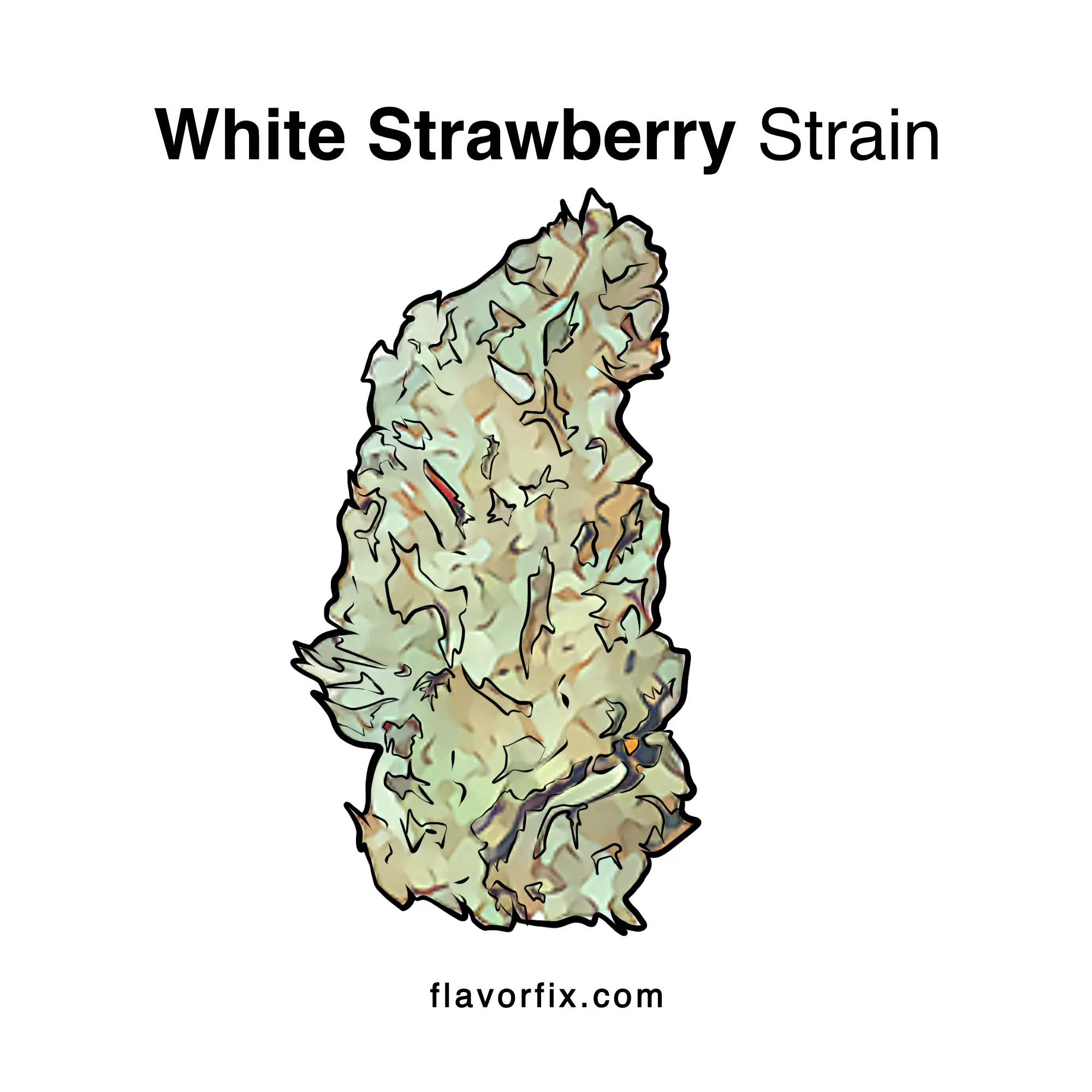 White Strawberry Strain Information, Ratings Effects | Flavor Fix