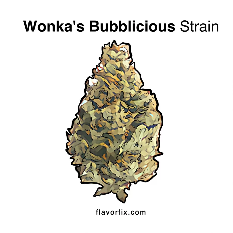 Wonka's Bubblicious Strain