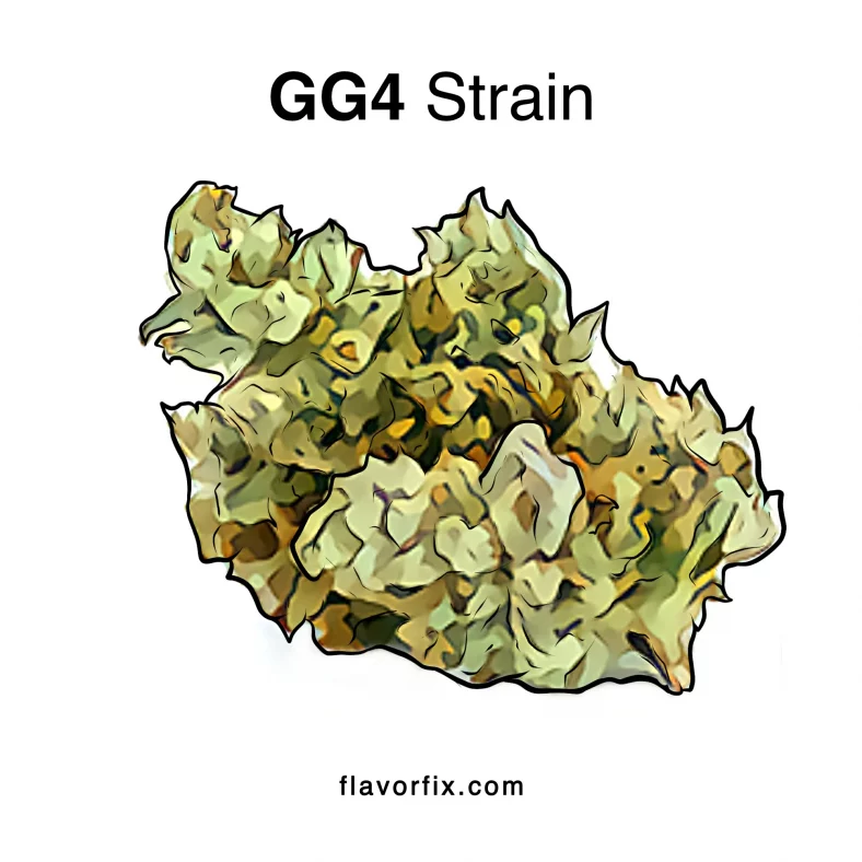 GG4 strain information