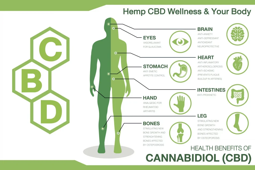 hemp oil benefits 1536x1024 1