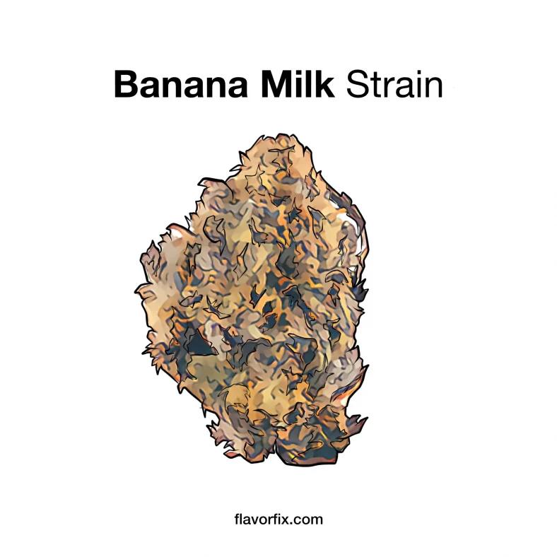 banana milk strain