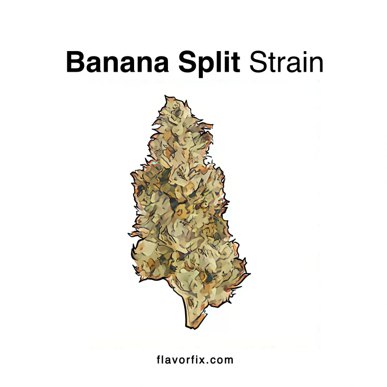 banana split strain