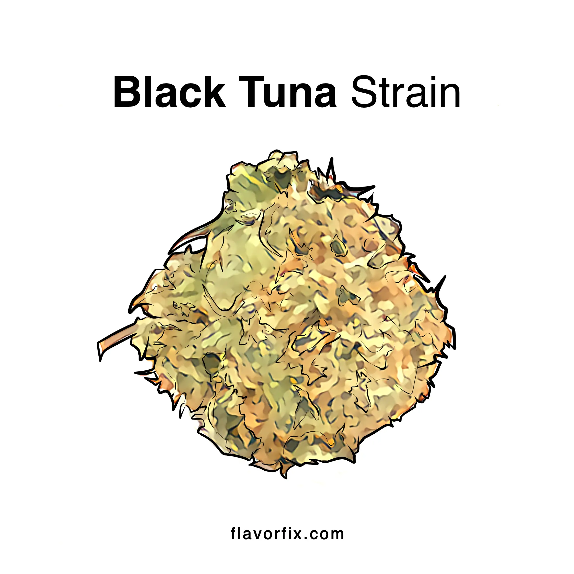 Black Tuna Strain Cannabis Strains Flavor Fix