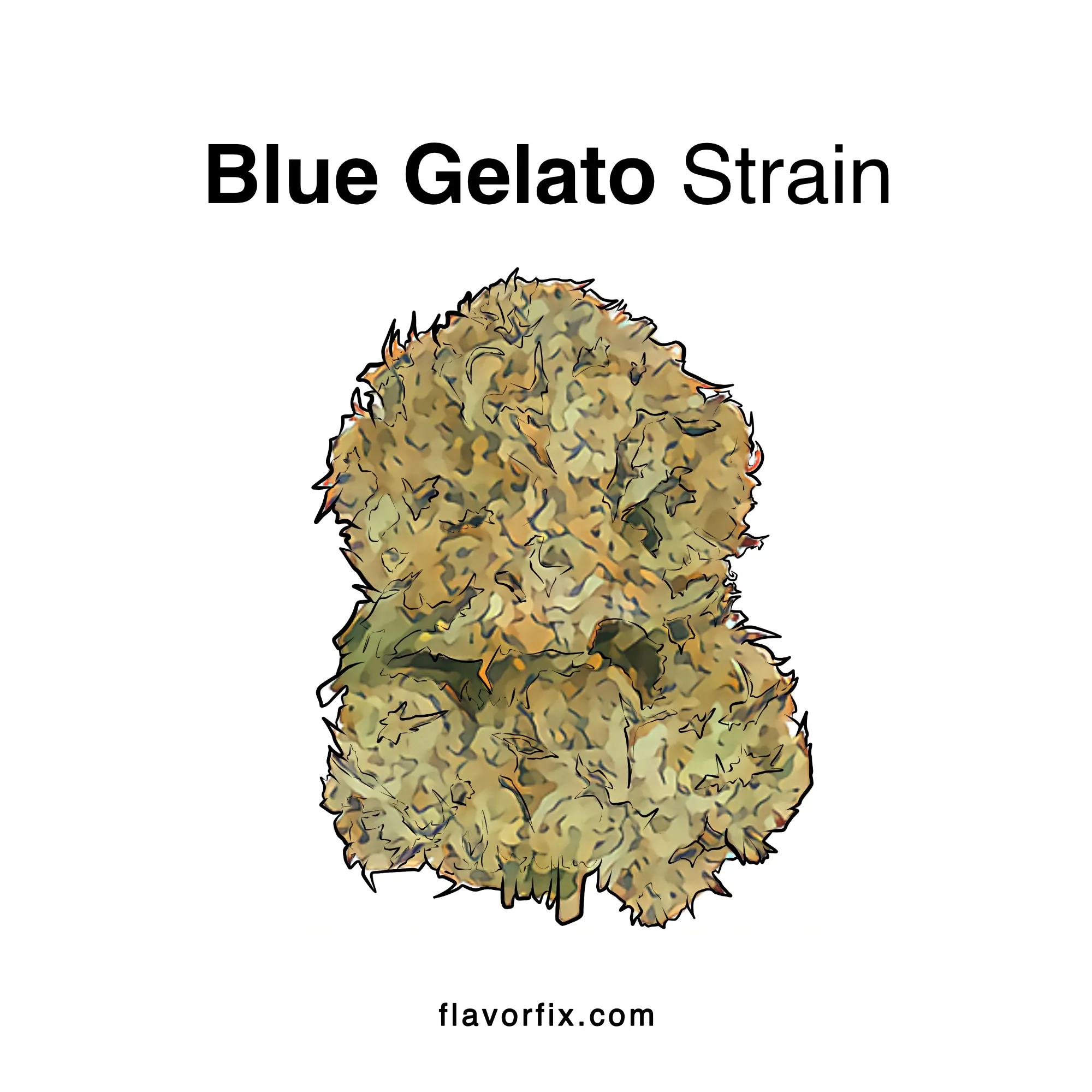Blue Gelato Strain Cannabis Strains Flavor Fix