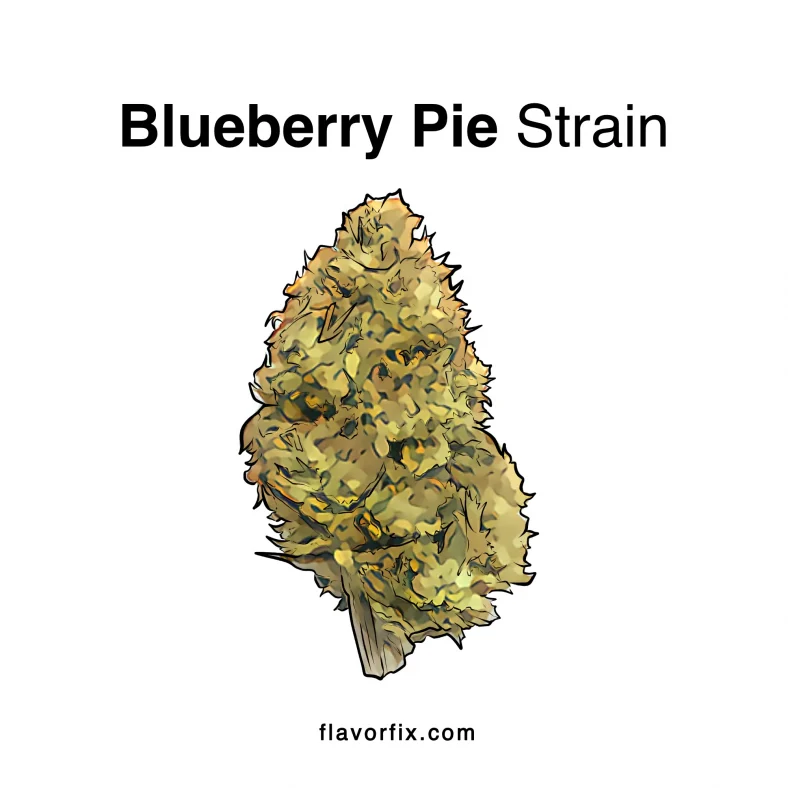 Blueberry Pie Strain