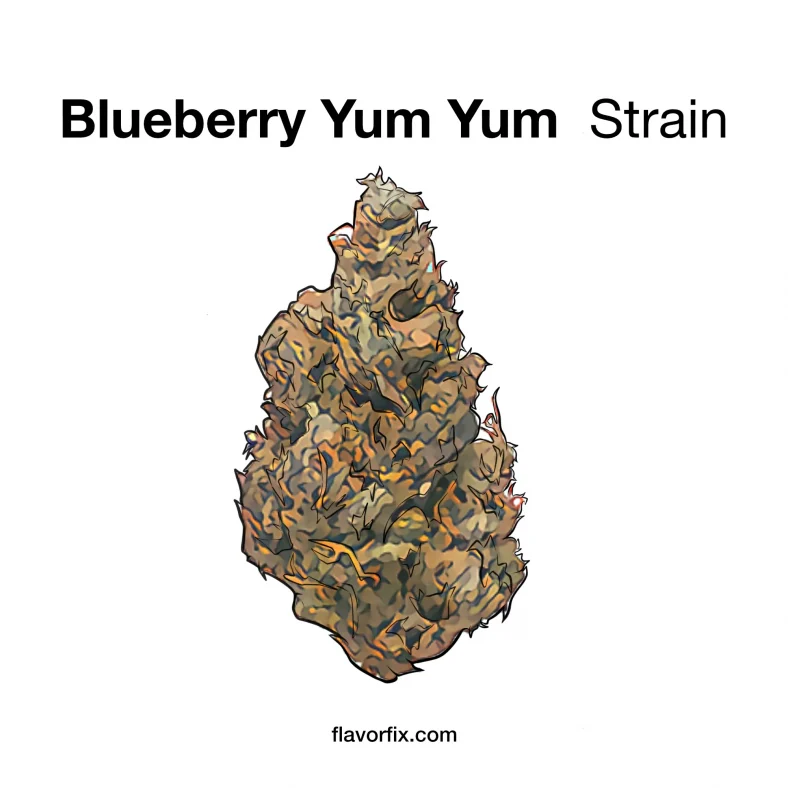 Blueberry Yum Yum Strain