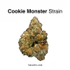 cookie monster strain