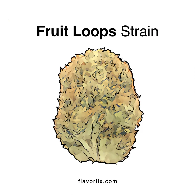 fruit loops strain