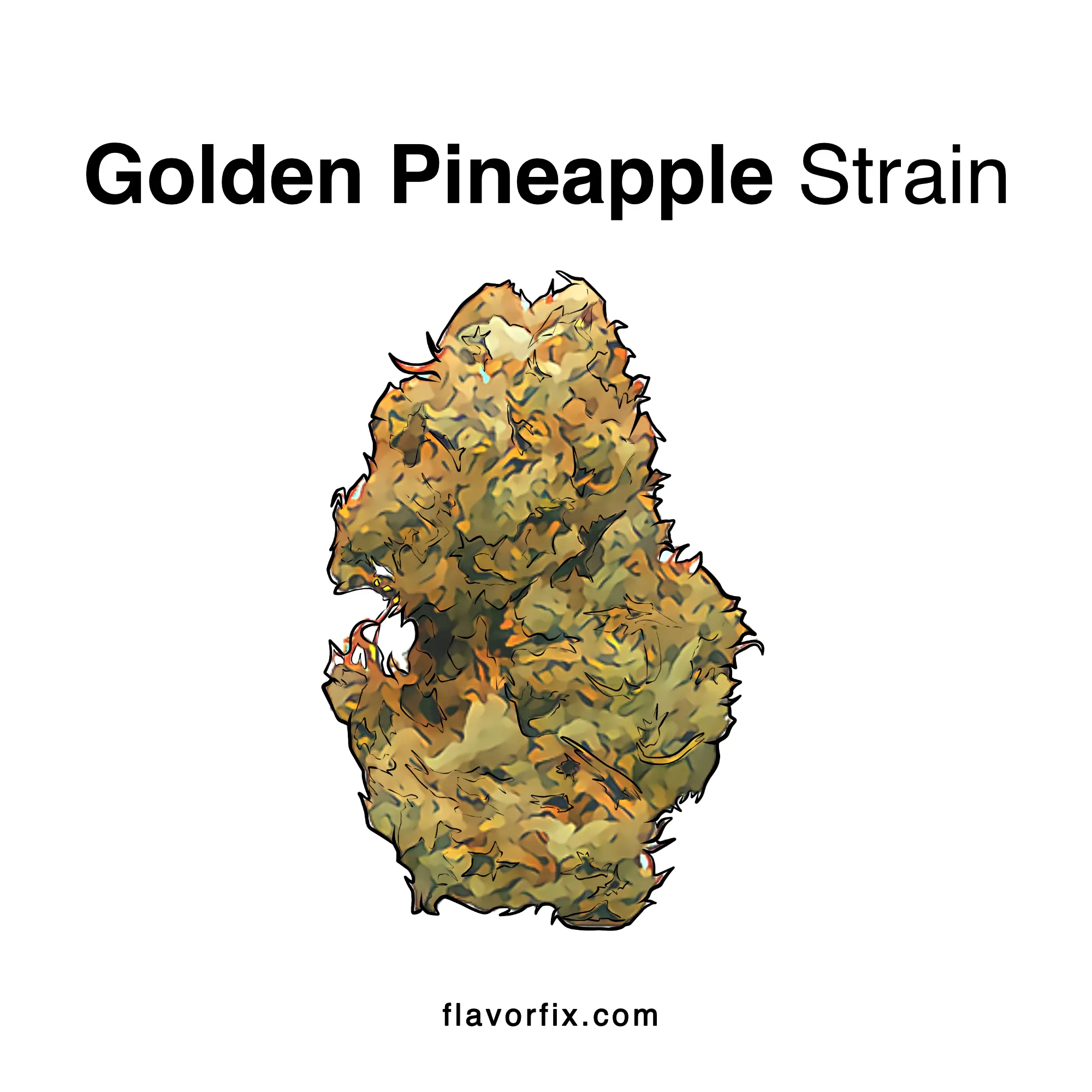 Golden Pineapple Strain Cannabis Strains Info Flavor Fix