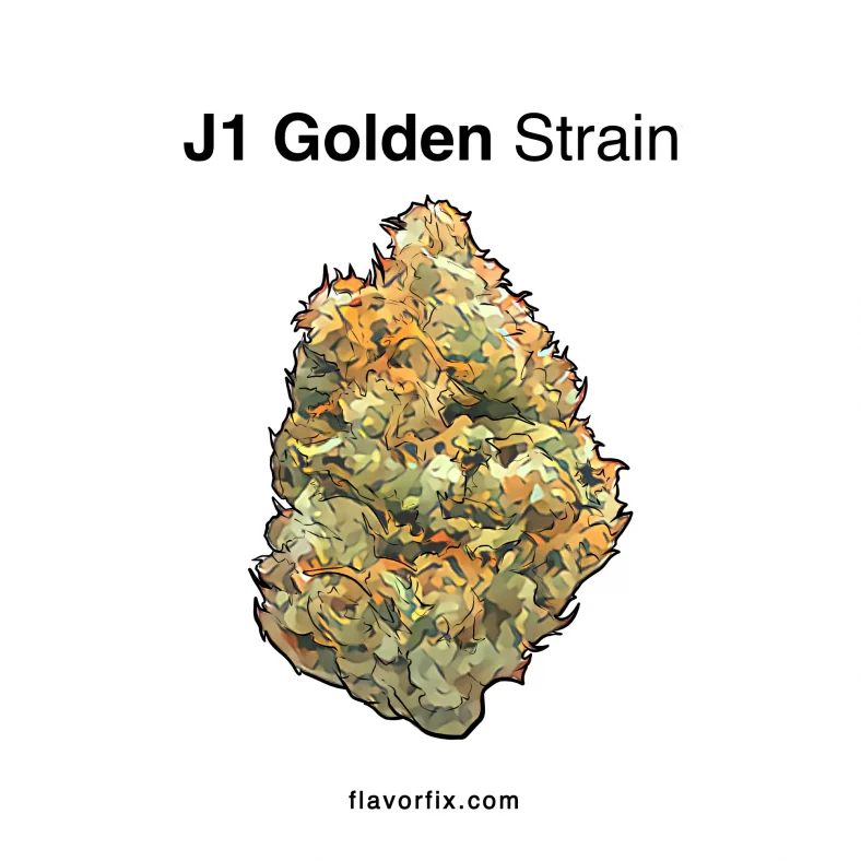J1 golden strain