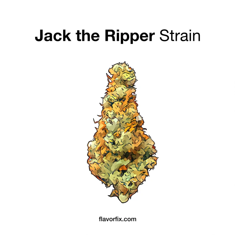 Jack the Ripper Strain