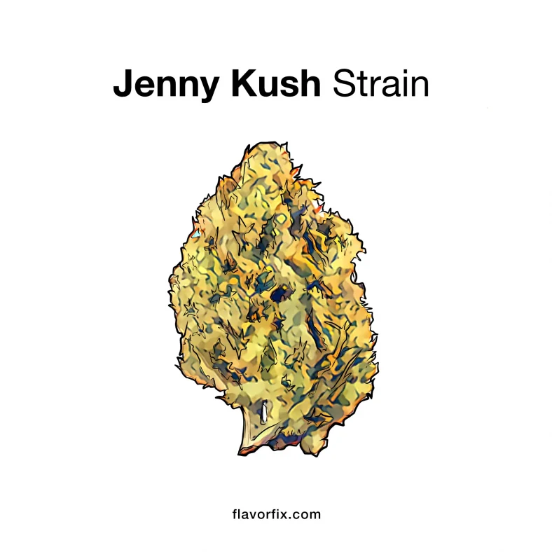 Jenny Kush Strain