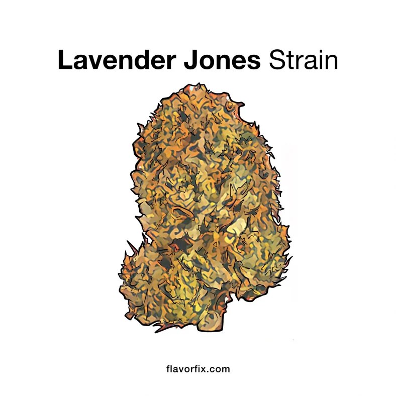 Lavender Jones Strain