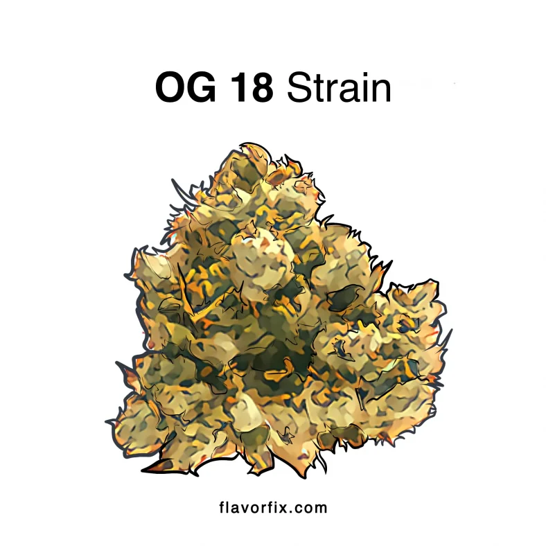 og 18 strain