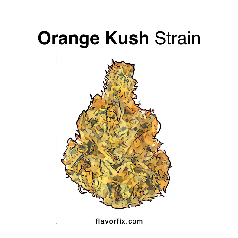 orange kush strain