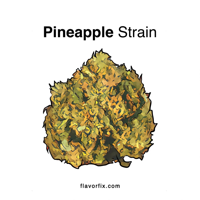 pineapple strain