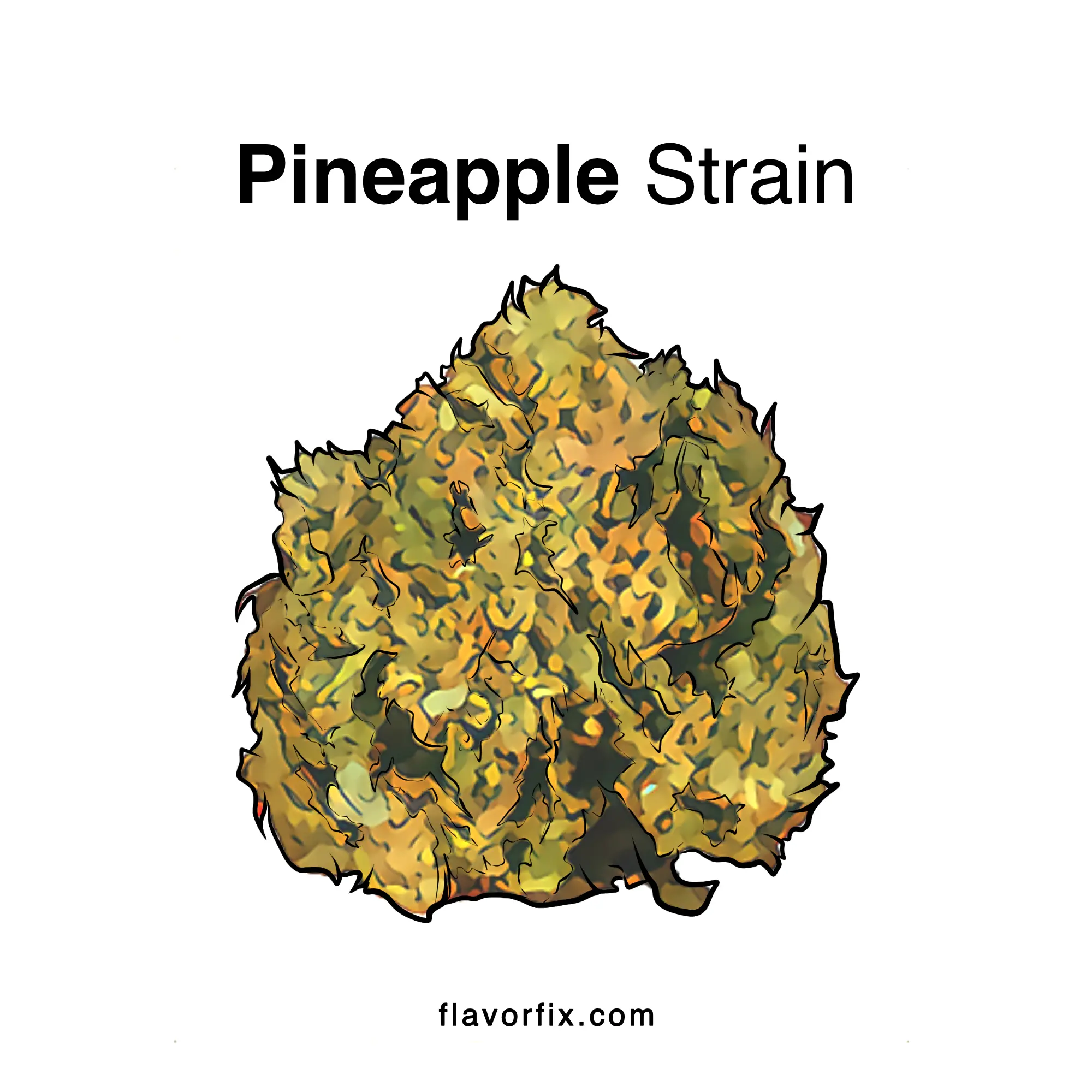 Pineapple Strain Cannabis Strains Info Flavor Fix