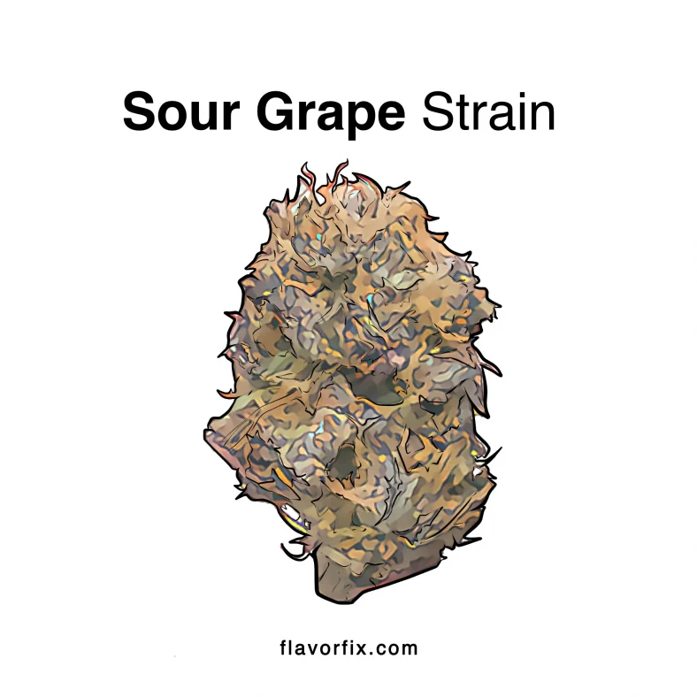 sour grape strain