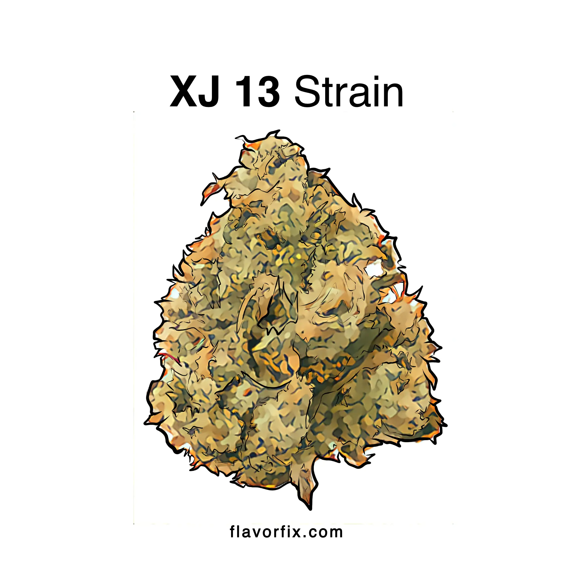 XJ13 Strain Info & Effects Cannabis Strains Flavor Fix