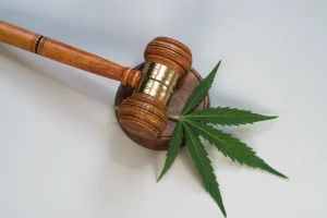 Delaware legalizes adult-use cannabis