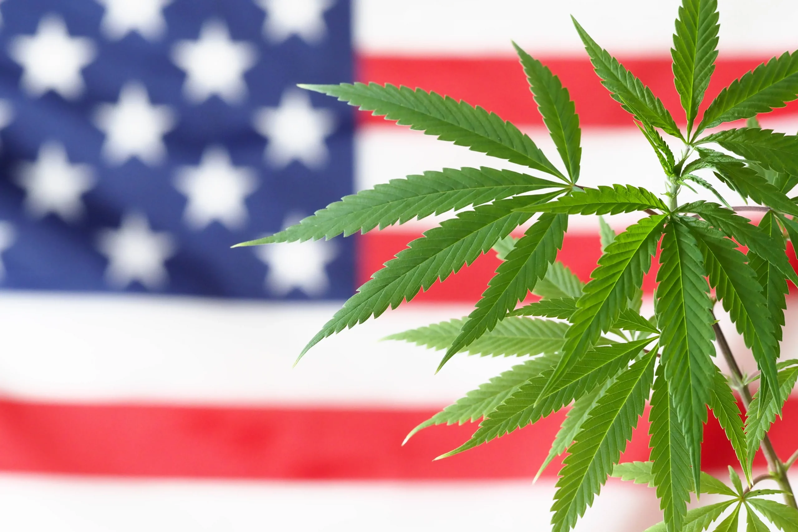 congress cannabis legalization