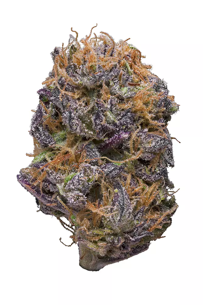 Sour Grape Strain Info Cannabis Strains Flavor Fix