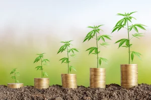 Colorado Announces New Cannabis Loan Fund for Social Equity Businesses