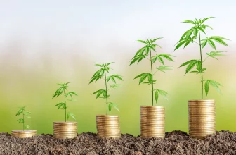 cannabis loan fund