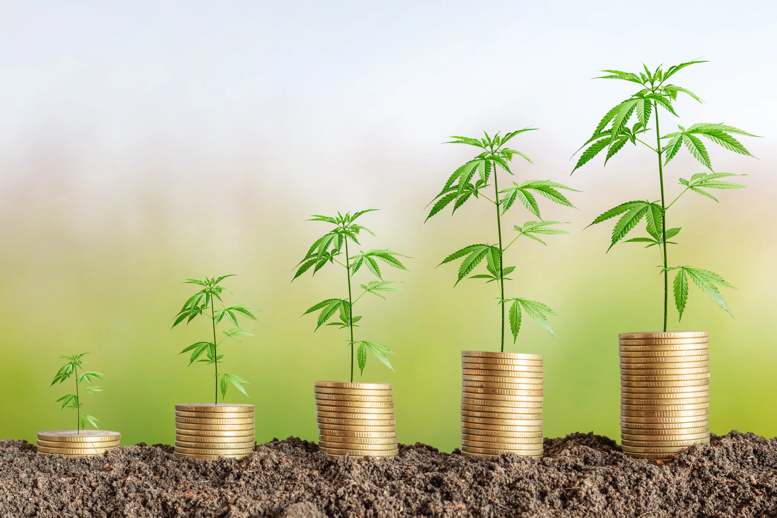 cannabis loan fund
