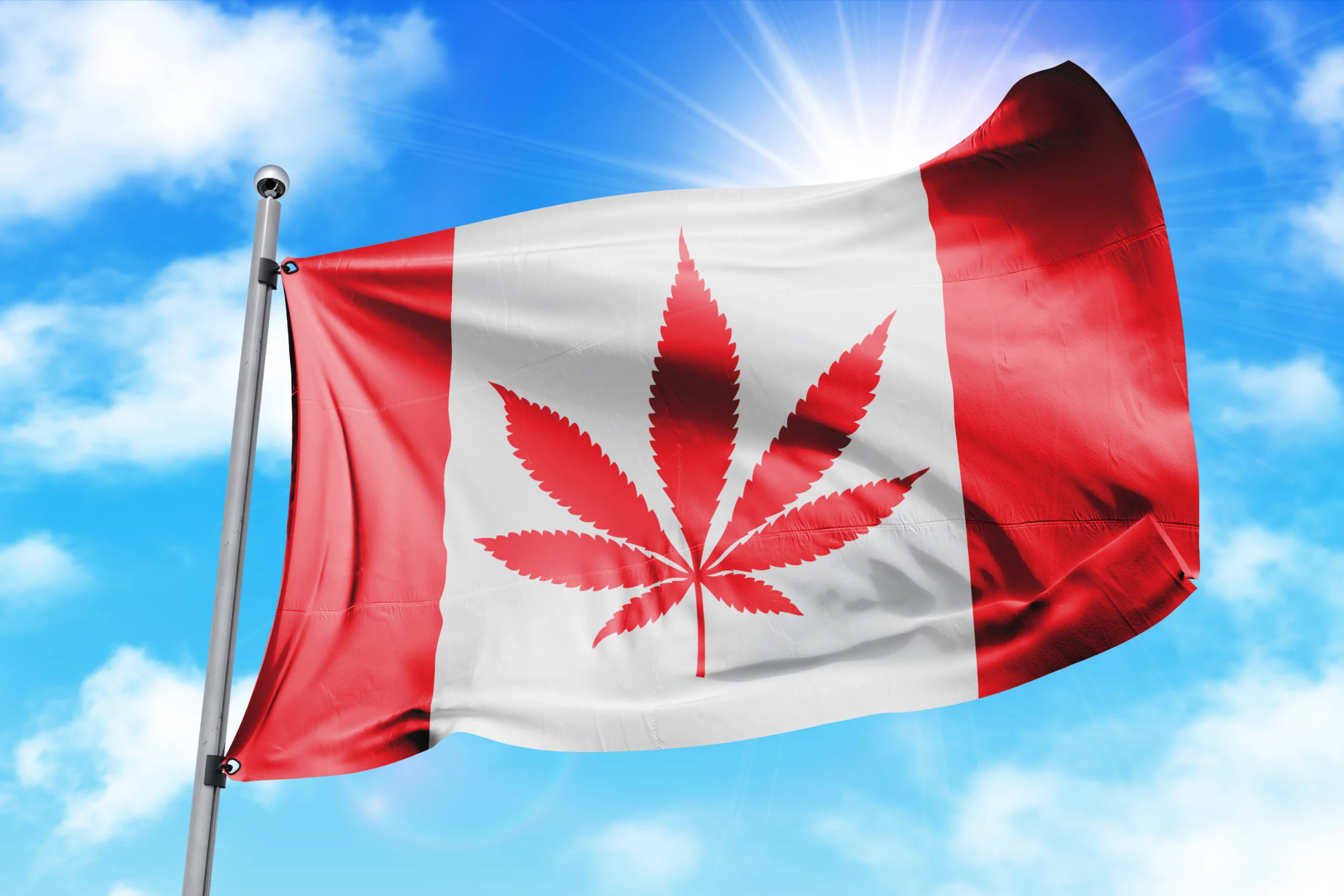 Canadian cannabis sales up 157%