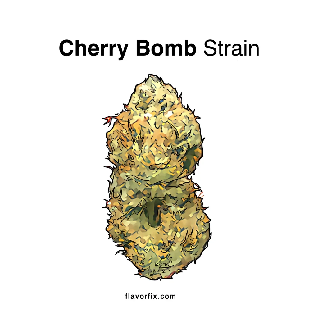 Cherry-Bomb-Strain