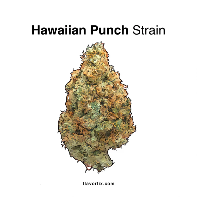 Hawaiian-Punch-Strain