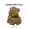 Lemon-Pie-Strain