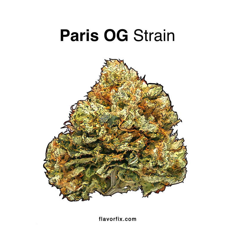 Paris-OG-Strain