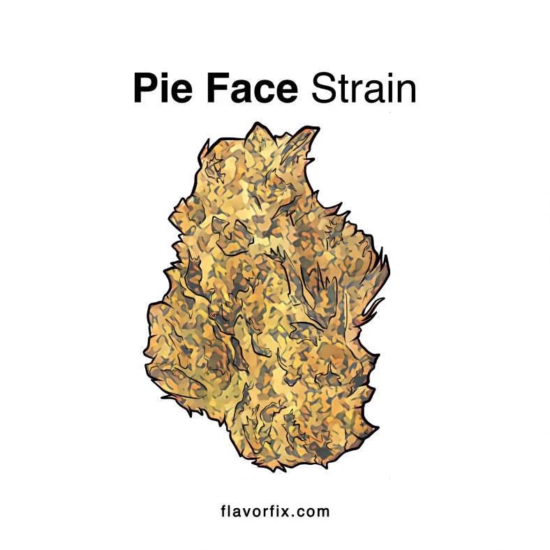 Pie-Face-Strain