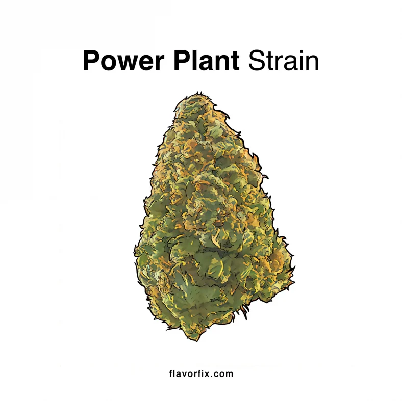 Power-Plant-Strain