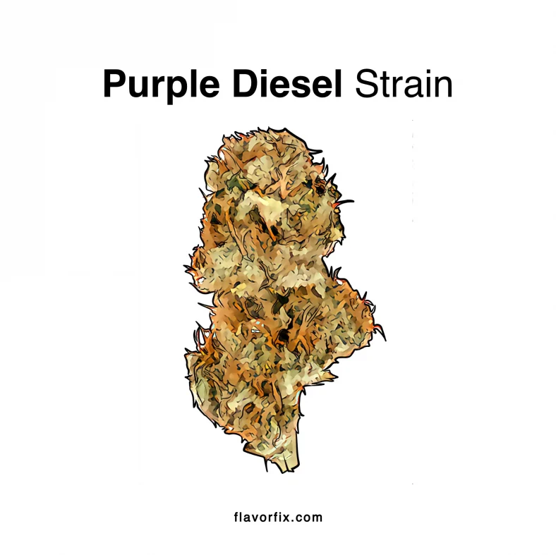 Purple-Diesel-Strain