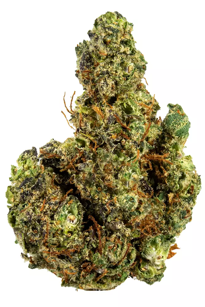 Sorbet Strain Information Cannabis Strains Flavor Fix