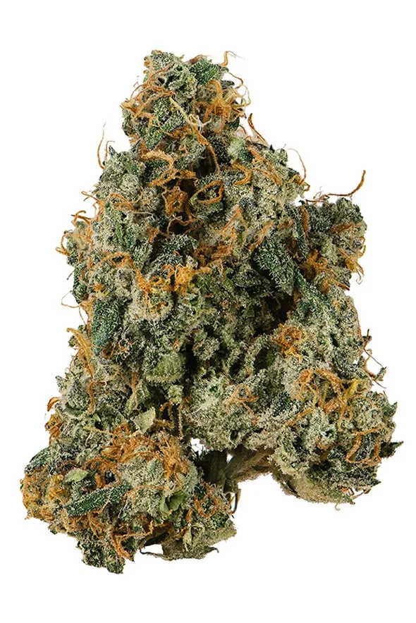 Ecto Cooler Strain Info Cannabis Strains Flavor Fix