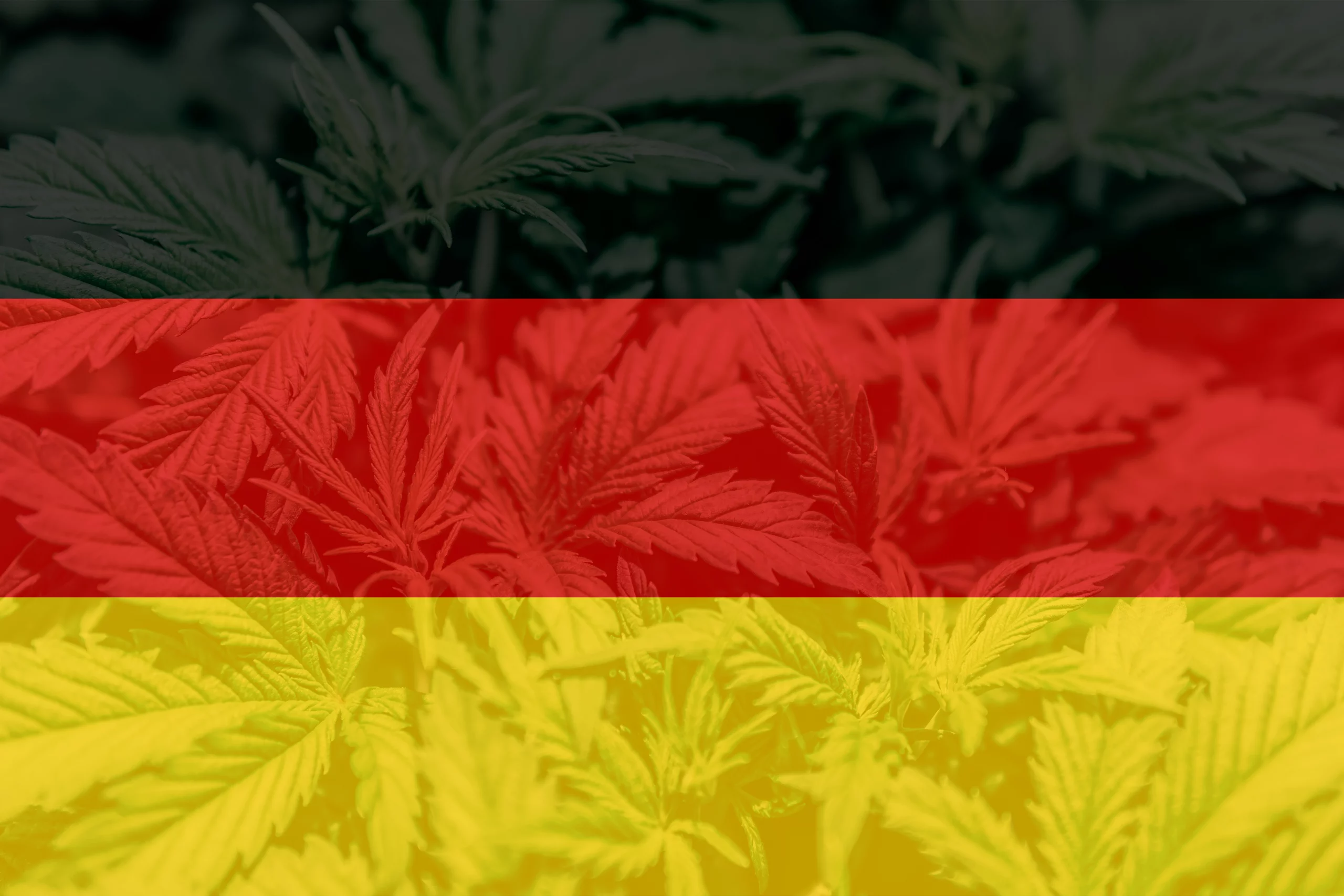 Germany proposes legislation to legalize cannabis