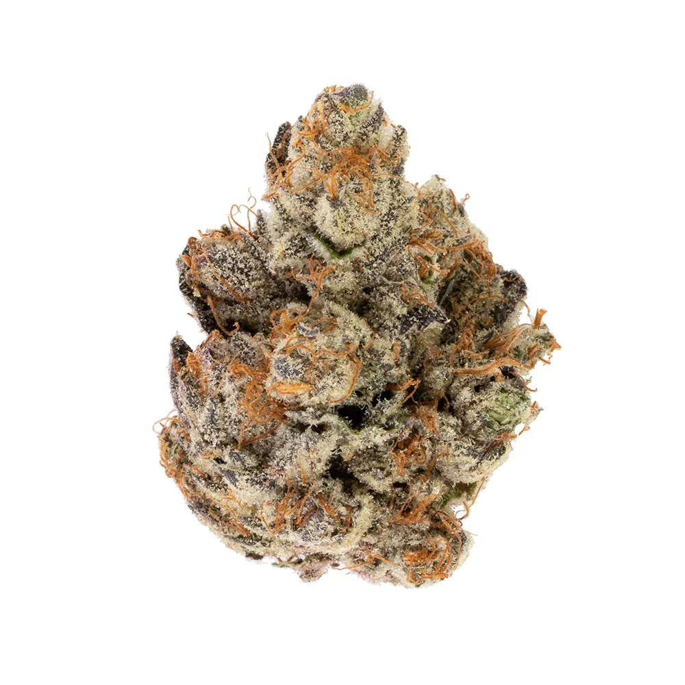 Lime Sorbet Strain Info Cannabis Strains Flavor Fix