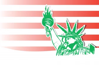 NY Secures $150M for Cannabis Equity Fund